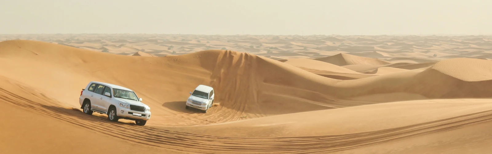 Into the Wild: Desert Safari Adventure in Kuwait