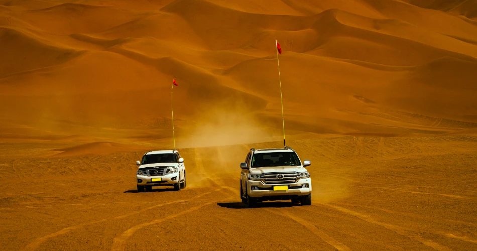 Into the Wild: Desert Safari Adventure in Kuwait