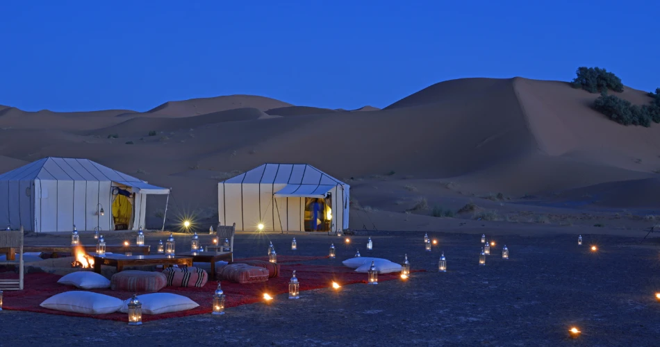 Into the Wild: Desert Safari Adventure in Kuwait