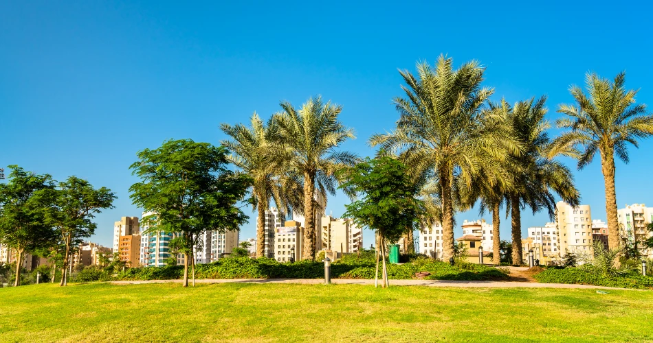 Budget-Friendly Fun at Boulevard Park Salmiya